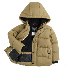 Cool Club куртка для мальчиков, COB2510755 цена и информация | Зимняя одежда для детей | 220.lv