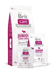 Brit Care Junior Large Lamb&Rice 12kg Suņiem cena un informācija | Sausā barība suņiem | 220.lv