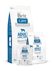 Brit Care Adult barība lielām suņu šķirnēm, 12 kg cena un informācija | Sausā barība suņiem | 220.lv