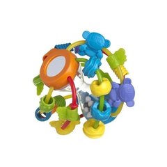 Attīstoša rotaļlieta - bumba 'spēlējies un mācies' PLAYGRO 4082679 cena un informācija | Rotaļlietas zīdaiņiem | 220.lv