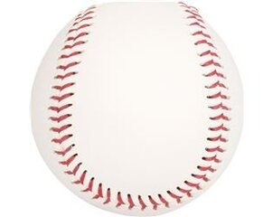 Beisbola bumba Abbey cena un informācija | Beisbols | 220.lv