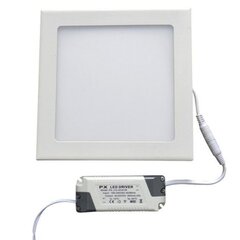 LED panelis LEDlife, 12W (silta balta) cena un informācija | Iebūvējamās lampas, LED paneļi | 220.lv