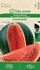 Arbūzs Sugar baby cena un informācija | Dārzeņu, ogu sēklas | 220.lv