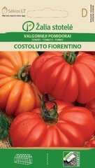 Tomāti Costoluto Fiorentino cena un informācija | Dārzeņu, ogu sēklas | 220.lv