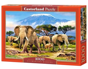 Puzle Puzzle Castorland Kilimanjaro Morning, 1000 det. cena un informācija | Puzles, 3D puzles | 220.lv