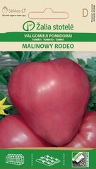 Tomāti MALINOWY RODEO cena un informācija | Dārzeņu, ogu sēklas | 220.lv