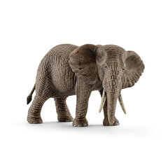 Schleich Āfrikas zilonis cena un informācija | Rotaļlietas zēniem | 220.lv