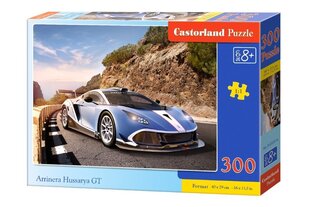 Puzle "Arrinera Hussarya GT" Castorland, 300 d. cena un informācija | Puzles, 3D puzles | 220.lv