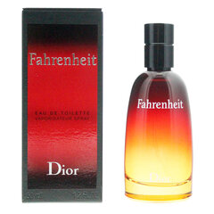 Tualetes ūdens Christian Dior Fahrenheit edt 50 ml cena un informācija | Vīriešu smaržas | 220.lv