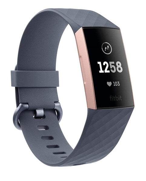 Смарт-часы Fitbit Charge 3, Серый цена 