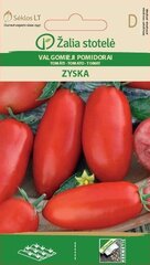 Ēdamie tomāti Zyska cena un informācija | Dārzeņu, ogu sēklas | 220.lv