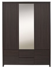 Шкаф Kaspian 3D2S, темно-коричневый цена и информация | Для шкафа | 220.lv