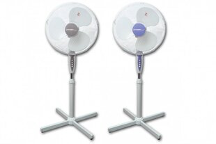 Grīdas ventilators First 5553-1 40 cm cena un informācija | Ventilatori | 220.lv