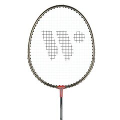 Badmintona rakešu komplekts Wish Alumtec 316K cena un informācija | Badmintons | 220.lv
