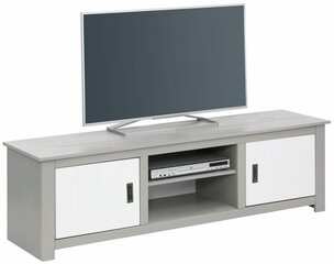TV galdiņš Ariel, pelēks/balts cena un informācija | TV galdiņi | 220.lv