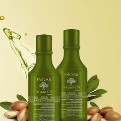 Mitrinošs matu kopšanas komplekts ar Argana eļļu INOAR Argan Duo Kit: šampūns 250 ml + kondicionieris 250 ml cena un informācija | Šampūni | 220.lv