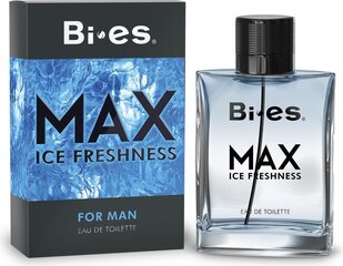 Tualetes ūdens vīriešiem BI-ES Max Ice Freshness 100ml cena un informācija | Vīriešu smaržas | 220.lv
