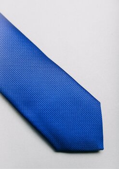 Zila kaklasaite cena un informācija | Kaklasaites, tauriņi | 220.lv
