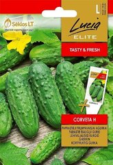 Parastie īsaugļu gurķi CORVETA H „LUCIA ELITE” 1,5 G cena un informācija | Dārzeņu, ogu sēklas | 220.lv