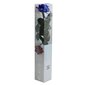 Stabilizēta roze Amorosa Premium zila