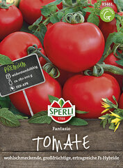 Ēdami tomāti ,,Fantasio“ F1 cena un informācija | Dārzeņu, ogu sēklas | 220.lv