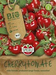 Ēdami tomāti Zuckertraube BIO cena un informācija | Dārzeņu, ogu sēklas | 220.lv