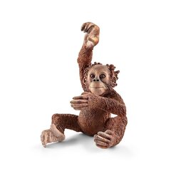 Figūriņa Orangutanu bērns Schleich Wild Life cena un informācija | Rotaļlietas zēniem | 220.lv