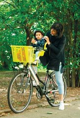 Velosipēda priekšējais sēdeklis Bellelli Tatoo Plus, pelēks cena un informācija | Bērnu velosipēdu sēdeklīši | 220.lv