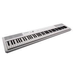 Artesia Performer 88-taustiņu digitālās klavieres, balts cena un informācija | Taustiņinstrumenti | 220.lv