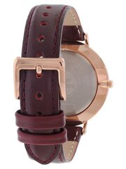 Rokas pulkstenis BOCCIA TITANIUM 3590-07 cena un informācija | Vīriešu pulksteņi | 220.lv