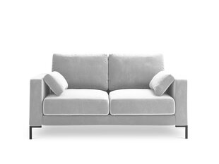 Dīvāns Micadoni Home Jade 2S, sudraba krāsas cena un informācija | Dīvāni | 220.lv
