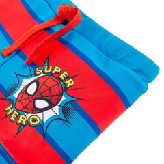 Cool Club peldšorti zēniem Zirnekļcilvēks (Spider-Man), LCB2009772 cena un informācija | Peldkostīmi un peldbikses zīdaiņiem | 220.lv