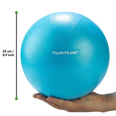 Мяч для йоги Tunturi, 25 см цена и информация | Товары для йоги | 220.lv