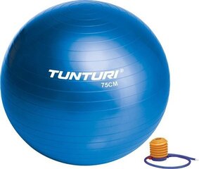 Гимнастический мяч с насосом Tunturi, 75 см, синий цена и информация | Гимнастические мячи | 220.lv