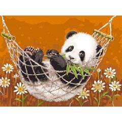 Gleznošanas komplekts - Panda šūpuļtīklā, 30x40 cena un informācija | Gleznas pēc numuriem | 220.lv
