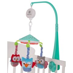 Muzikālais karuselis ar projektoru Kikkaboo, Owls Green cena un informācija | Rotaļlietas zīdaiņiem | 220.lv