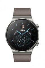 Viedais pulkstenis Huawei Watch GT 2 Pro, Titanium Gray cena un informācija | Viedpulksteņi (smartwatch) | 220.lv