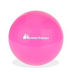 Bumba Meteor Pink, 20 cm cena un informācija | Vingrošanas bumbas | 220.lv