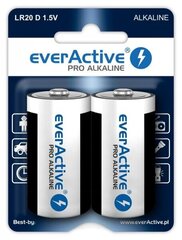 everActive EVLR20-PRO (2) cena un informācija | Akumulatori videokamerām | 220.lv