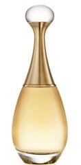 Parfimērijas ūdens Dior J'Adore edp 100 ml cena un informācija | Sieviešu smaržas | 220.lv