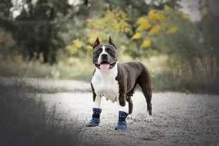 Amiplay suņu apavi Bristol, sarkani, M cena un informācija | Apģērbi suņiem | 220.lv