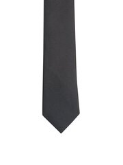 Vīriešu kaklasaite Accessories cena un informācija | Kaklasaites, tauriņi | 220.lv