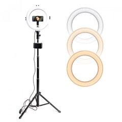 LED regulējama selfiju lampa 160cm 15W / 12 ’’ 30,5 cm USB 5V-2A 3000K-6000K cena un informācija | Apgaismojums fotografēšanai | 220.lv