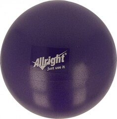 Vingrošanas bumba Allright 18 cm, violeta cena un informācija | Vingrošanas bumbas | 220.lv