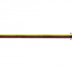 Lietuvas Republikas trīskrāsu lente 6 mm, 1 m cena un informācija | Karogi un aksesuāri | 220.lv