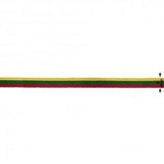 Lietuvas Republikas trīskrāsu lente 8 mm, 1 m cena un informācija | Karogi un aksesuāri | 220.lv