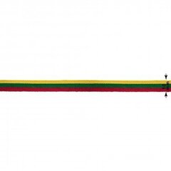 Lietuvas Republikas trīskrāsu lente 10 mm, 1 m cena un informācija | Karogi un aksesuāri | 220.lv