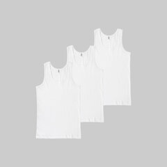 Vīriešu krekls Ceylan, balts, 3 gab. cena un informācija | Vīriešu apakškrekli | 220.lv