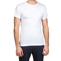 Vīriešu T-krekls Ceylan, balts, 3 gab. cena un informācija | Vīriešu apakškrekli | 220.lv