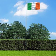 vidaXL Īrijas karogs un karoga masts, alumīnijs, 6,2 m cena un informācija | Karogi un aksesuāri | 220.lv